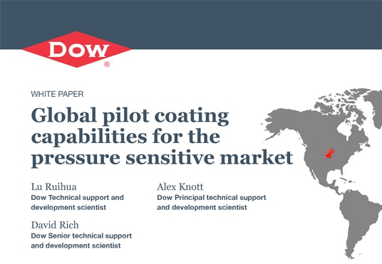 documento sulle capacità di rivestimento pilota globale